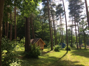 Camping Osenbach